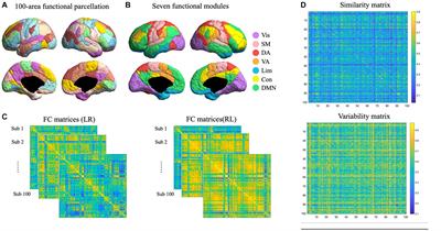 Individual differences in the language task-evoked and resting-state functional networks
